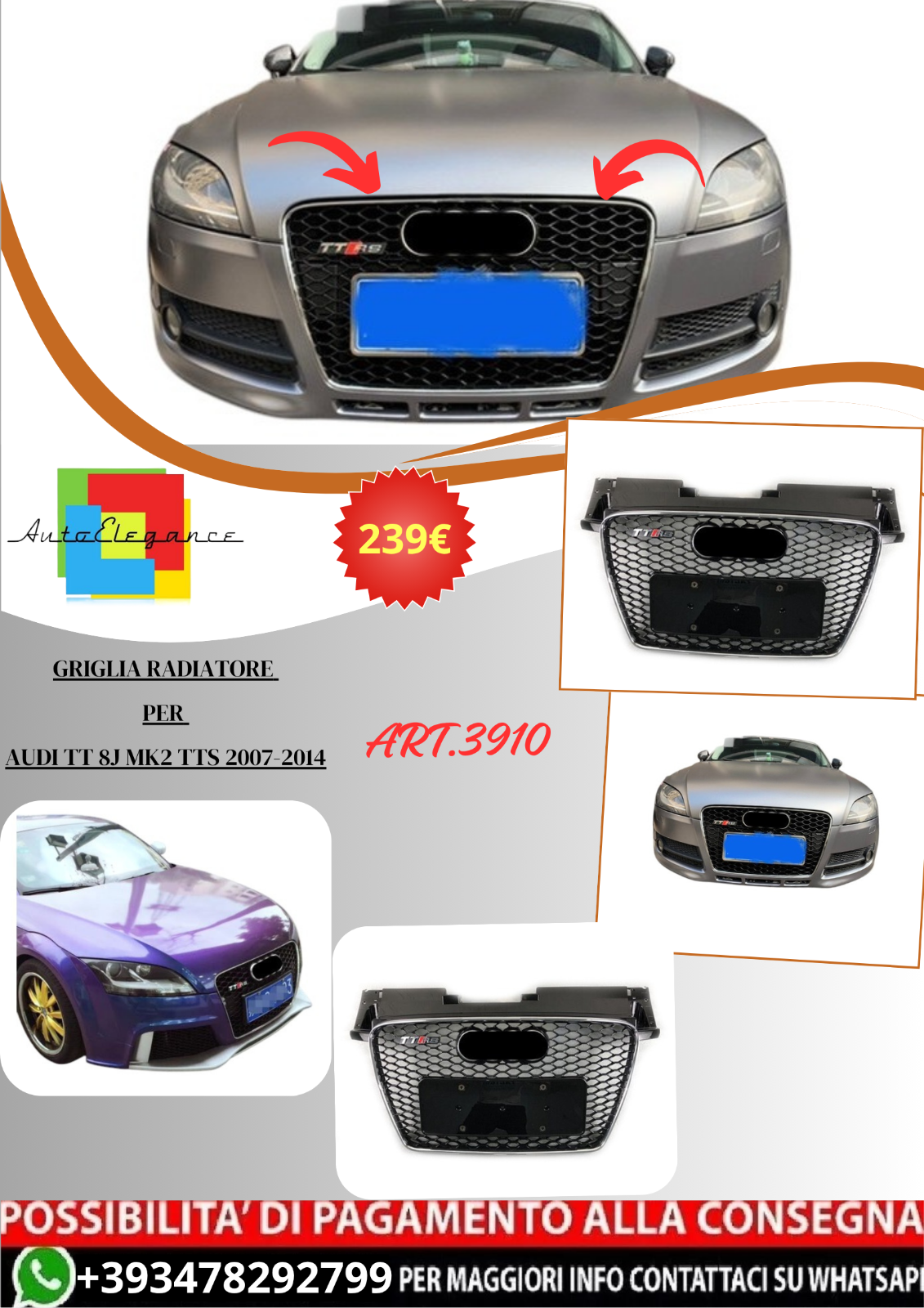 ART.3910 Griglia Radiatore per Audi TT 8J MK2 TTS 2007-2014