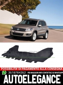 Riparo Motore Prasco INFERIORE