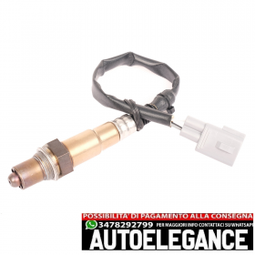 Diagnose Sonde Hinten Cat Lamb