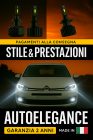 KIT LED D5S 6000K Anabbaglianti per Citroën C4 Spacetourer | CANBUS